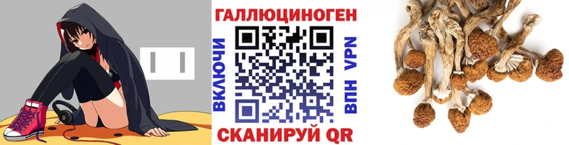 Псилоцибиновые грибы мухоморы  Купить  Среднеколымск 